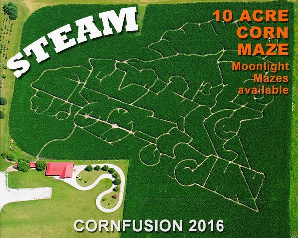 Steam maze for 2016